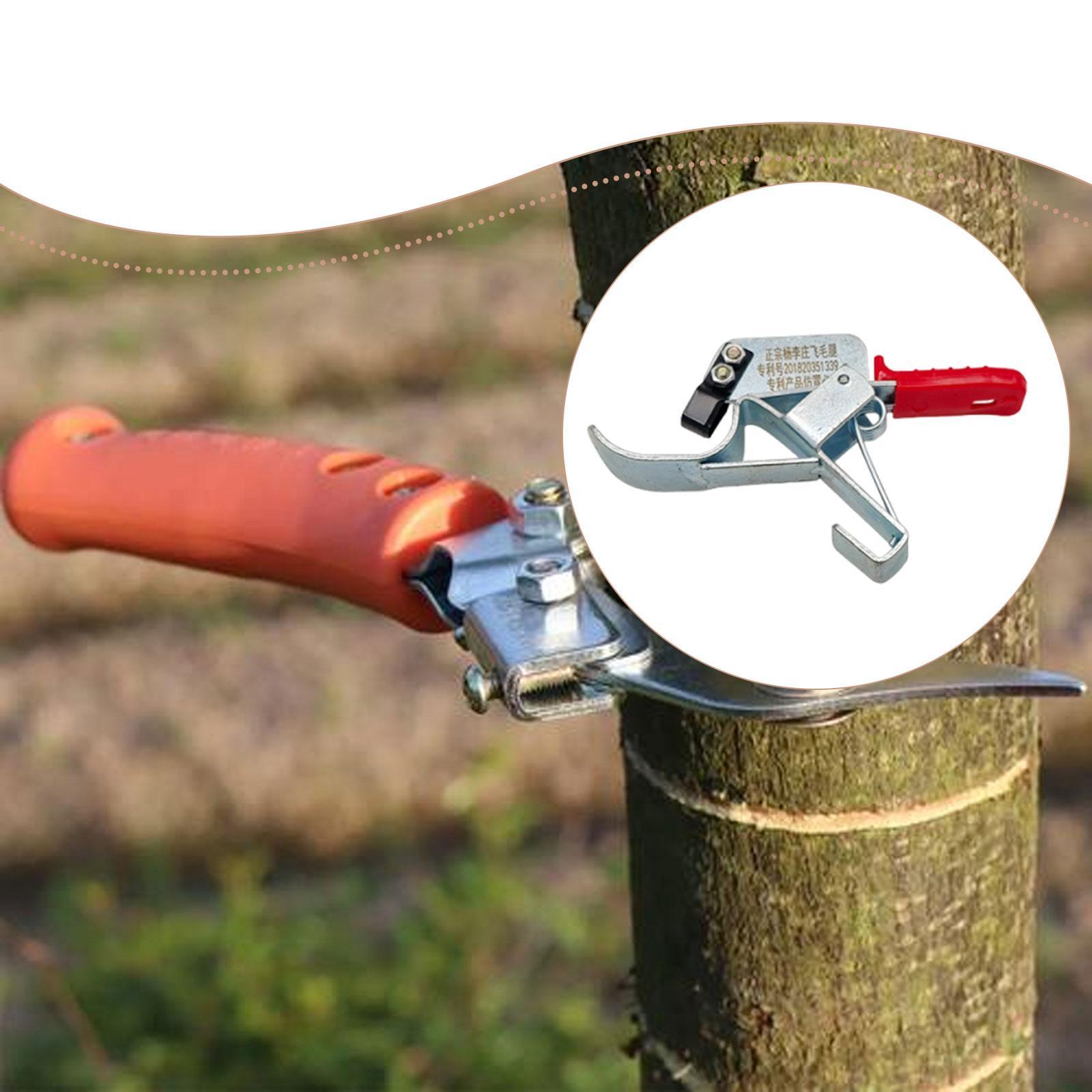 Herramienta para Atar Árboles  - Gardening Tools Essential reseña y precio