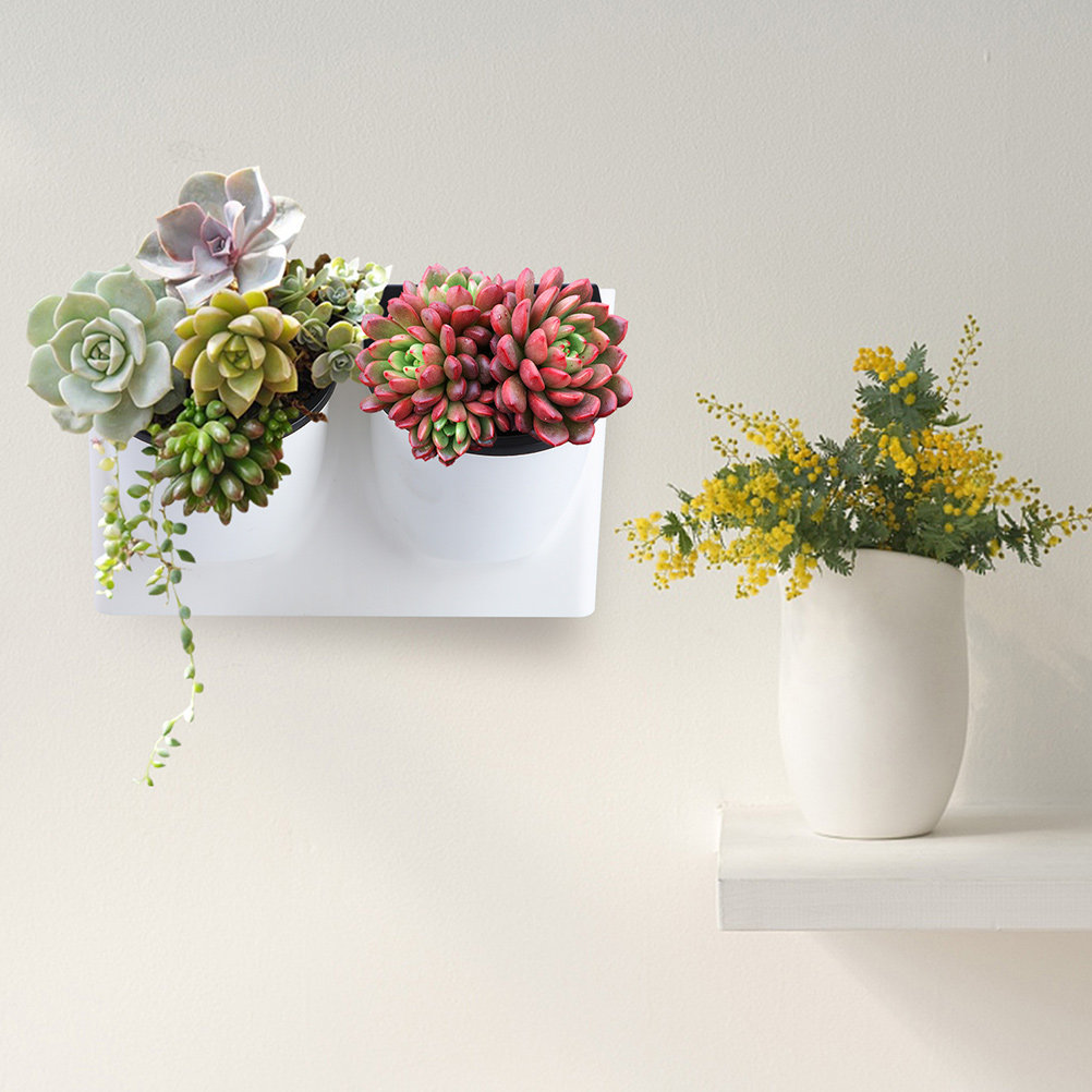 Maceta de Plástico con Autorri - Self-Watering Planter reseña y precio