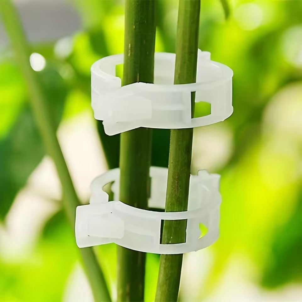20 Clips de Soporte para Plant - Gardening Tools Vegetables reseña y precio