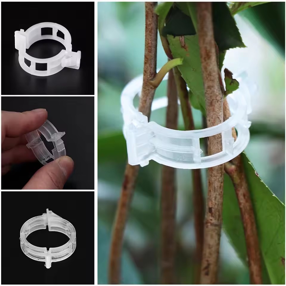20 Clips de Soporte para Plant - Gardening Tools Vegetables reseña y precio