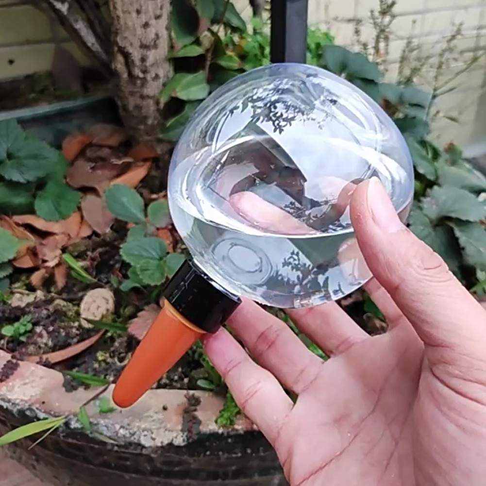Globos de Riego Automático de  - Automatic Plant Waterer reseña y precio