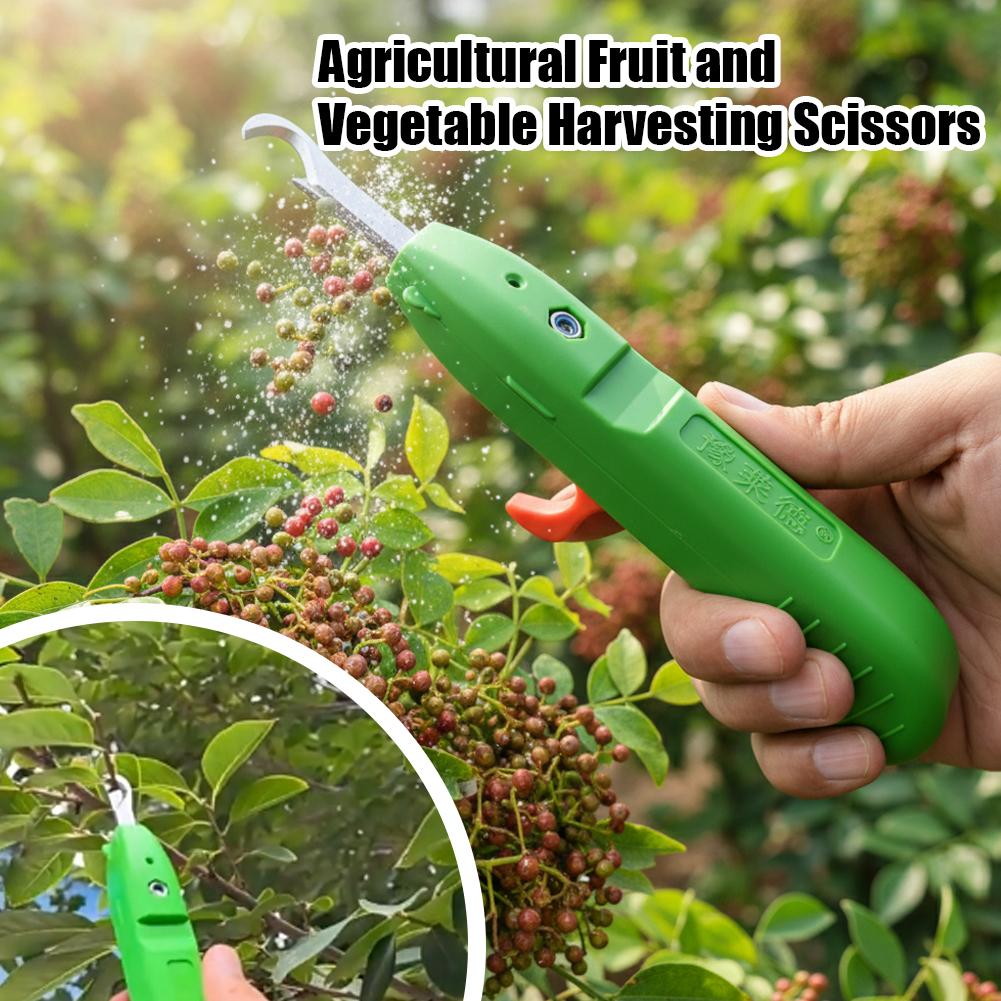 Tijeras para recoger frutas y  - Gardening Tools Vegetables reseña y precio