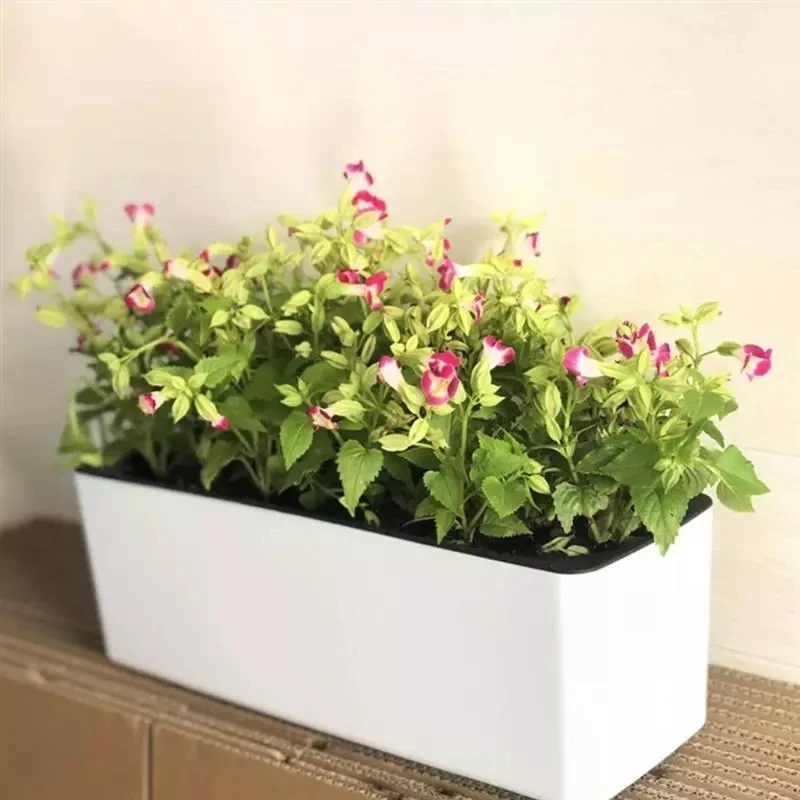 Maceta rectangular para perezo - Automatic Plant Waterer reseña y precio