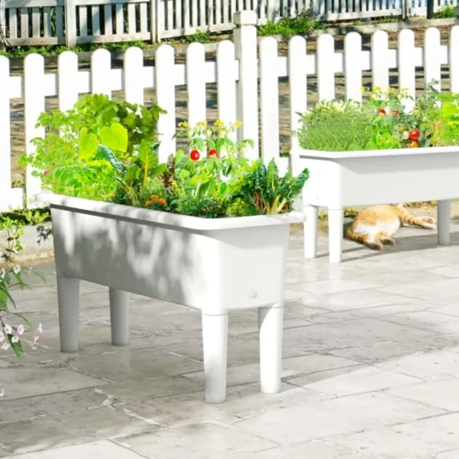 Juego de 2 jardineras elevadas - Self-Watering Planter reseña y precio