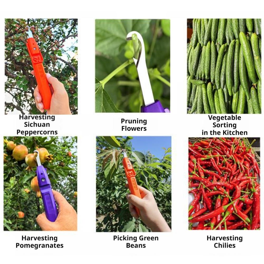 Herramienta portátil multifunc - Gardening Tools Vegetables reseña y precio