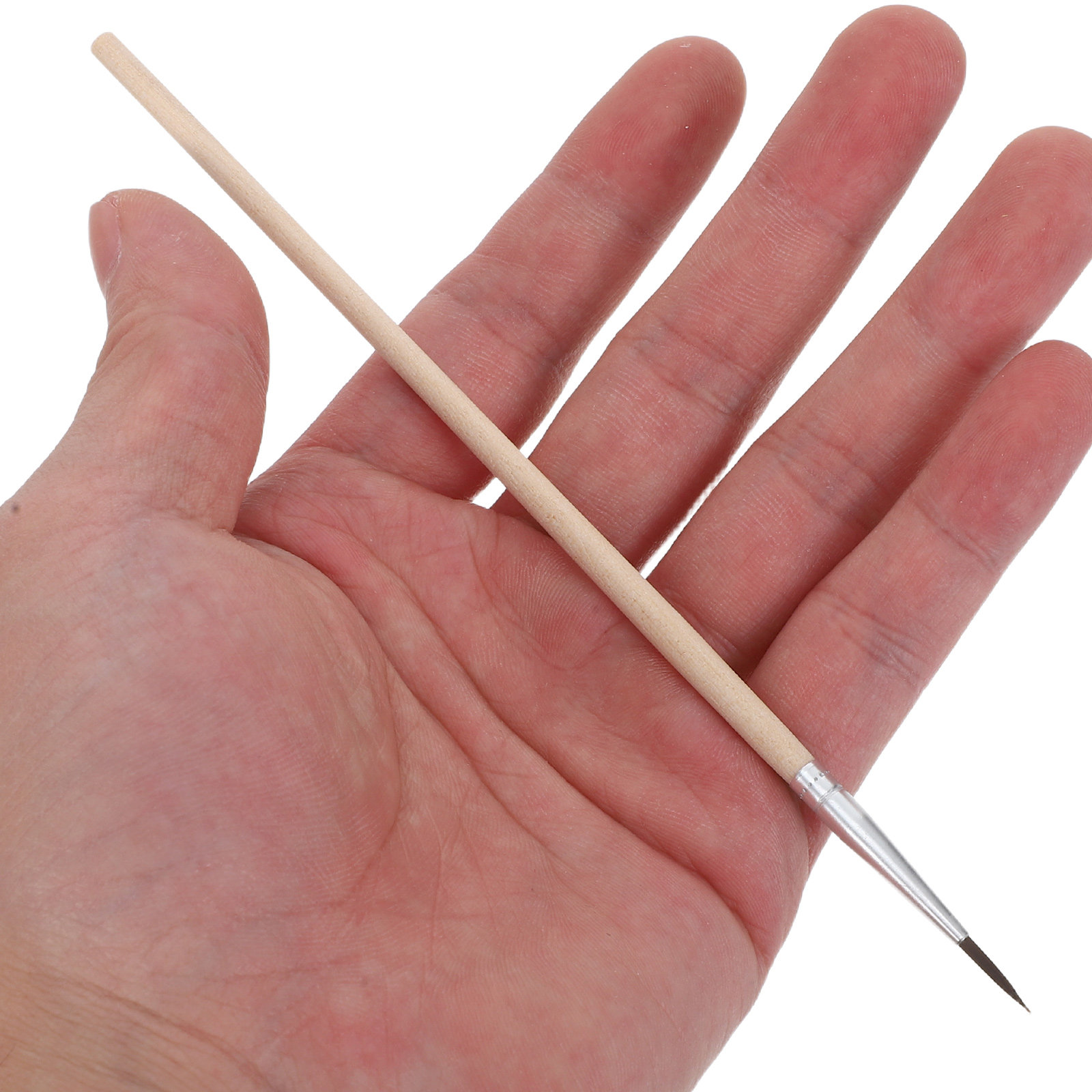 24 Cepillos de Polinización pa - Gardening Tools Vegetables reseña y precio