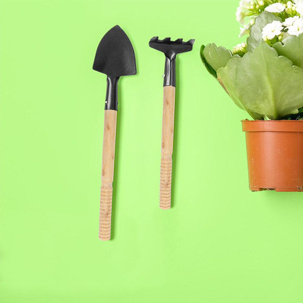 Juego de 5 mangos de madera re - Gardening Tools Vegetables reseña y precio
