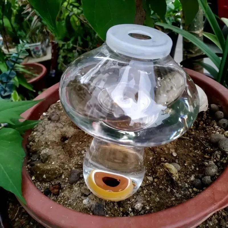 Riego Automático para Plantas, - Automatic Plant Waterer reseña y precio